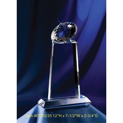 DCR235 Football tower Award...