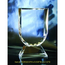 DCR323 Primary Award...