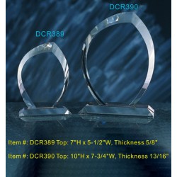 DCR389 Arc Award optical...