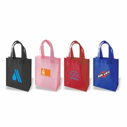 DTB81  Non-Woven Gift Bag,...