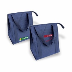 DTB108  Large Thermo Tote,...