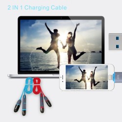 CB01 3.3Ft/1M 2-in-1 iPhone...