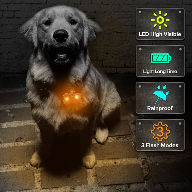 LED Dog  Glow  in The Dark  Pet Tags Bone Shape Pet ID Tag 
